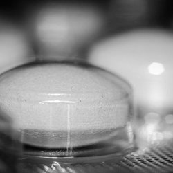 Pills in blister Pills in blister